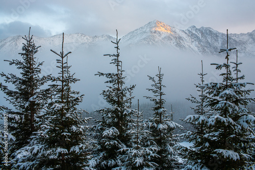 Tatra mountains panorama. 