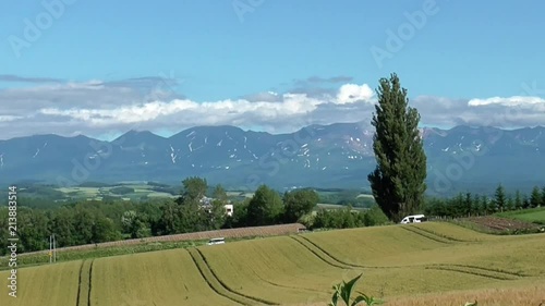 十勝岳連峰を望む美瑛の丘とポプラの木