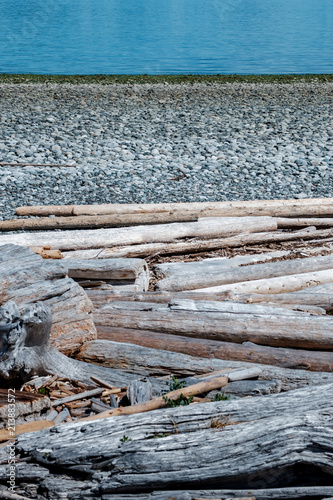 driftwood beach