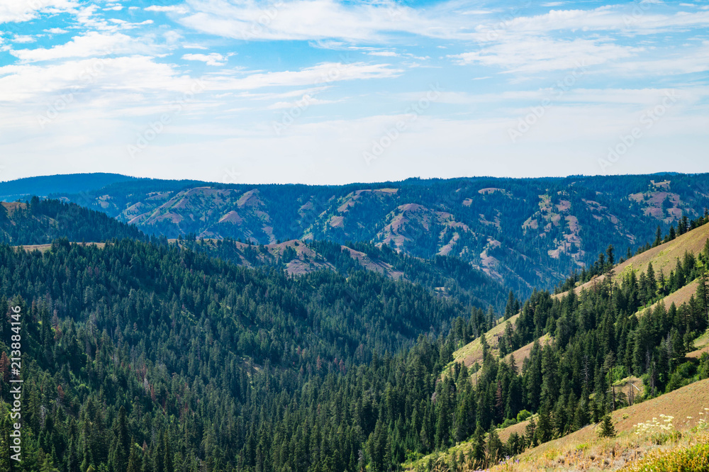 Wallowa-Whitman National Forest near Elgin, Oregon, USA