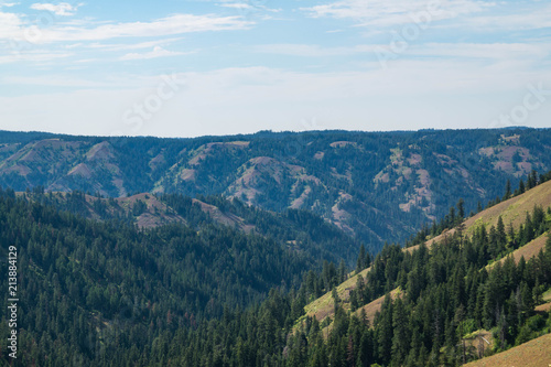 Wallowa-Whitman National Forest near Elgin, Oregon, USA