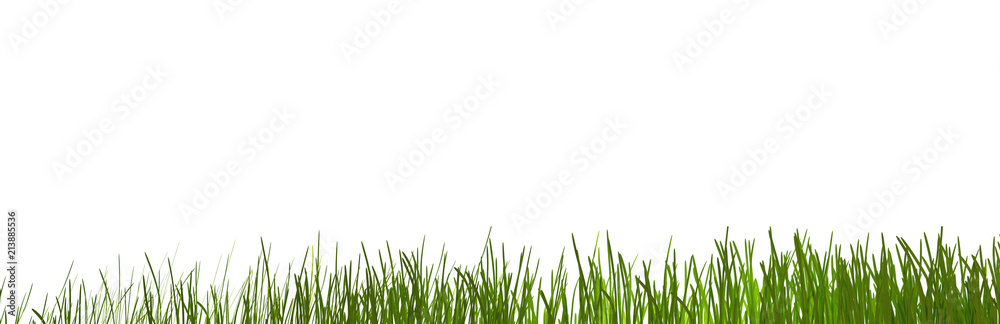 green grass meadow lawn blades of grass 3d-illustration green grass meadow lawn blades of grass 3d-illustration