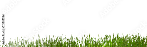 green grass meadow lawn blades of grass 3d-illustration © wetzkaz