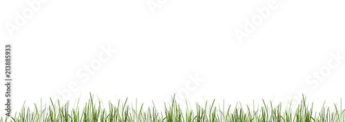green grass meadow lawn blades of grass 3d-illustration