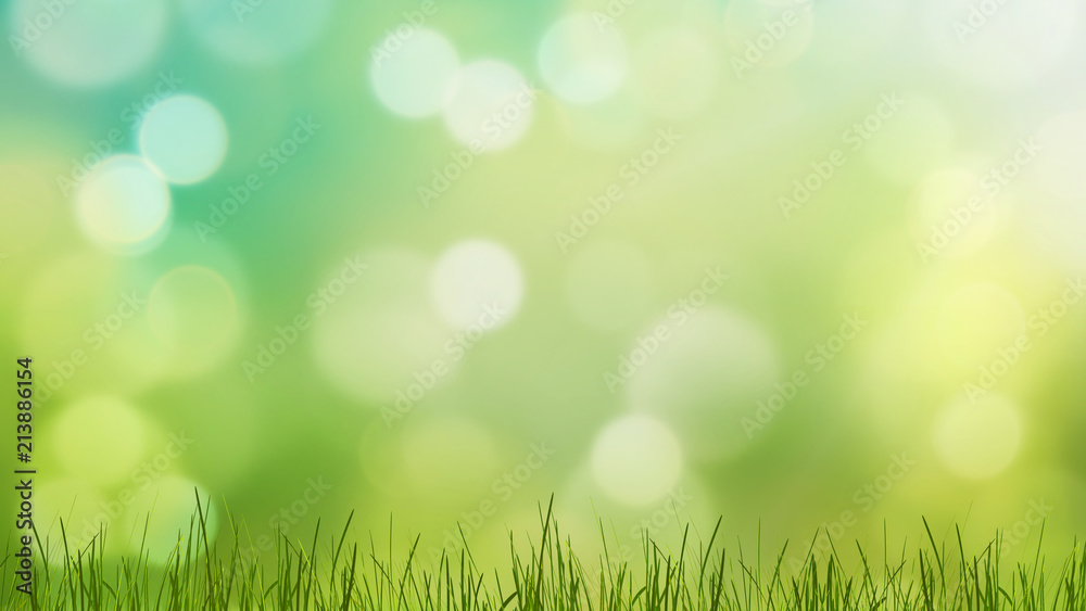 Fototapeta premium green grass meadow lawn blades of grass 3d-illustration