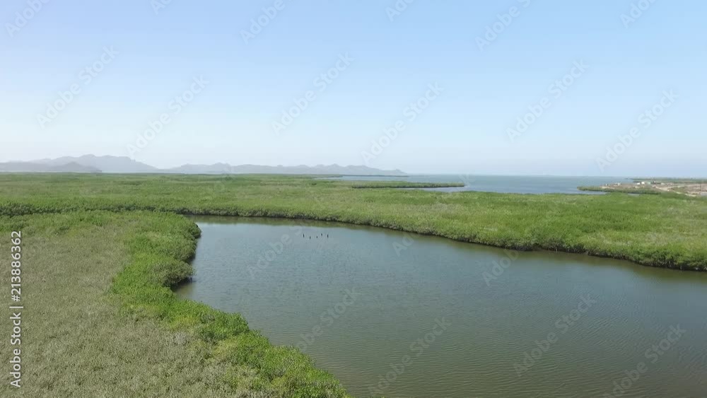 Manglares playa El Maviri