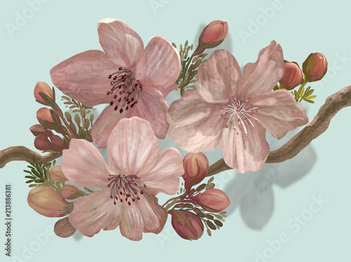 Hand-drawn blossoming Sakura on a branch