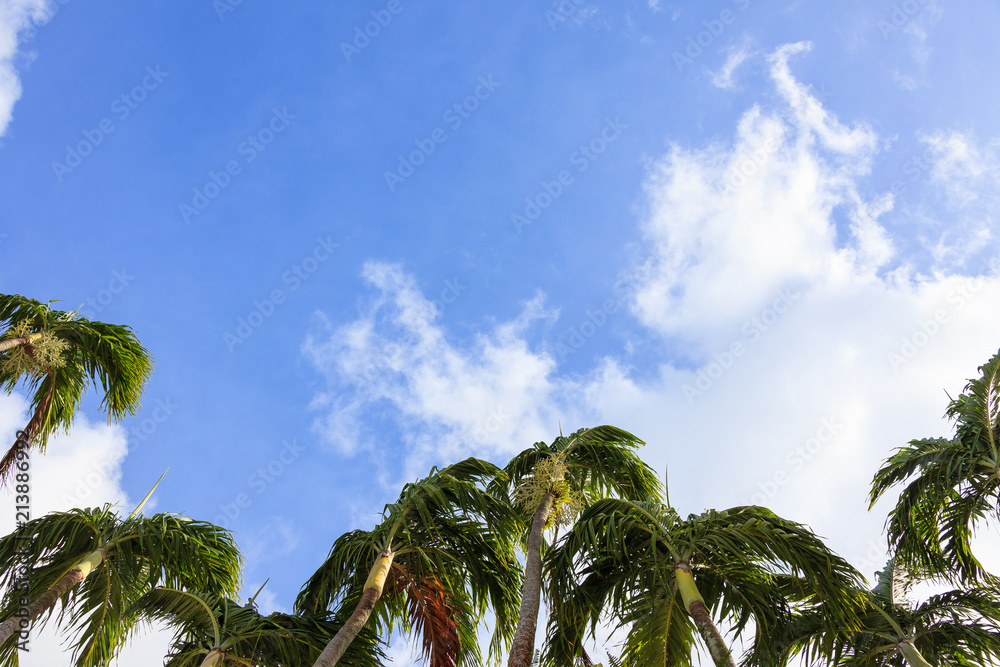 Fototapeta premium Guam blue sky Street