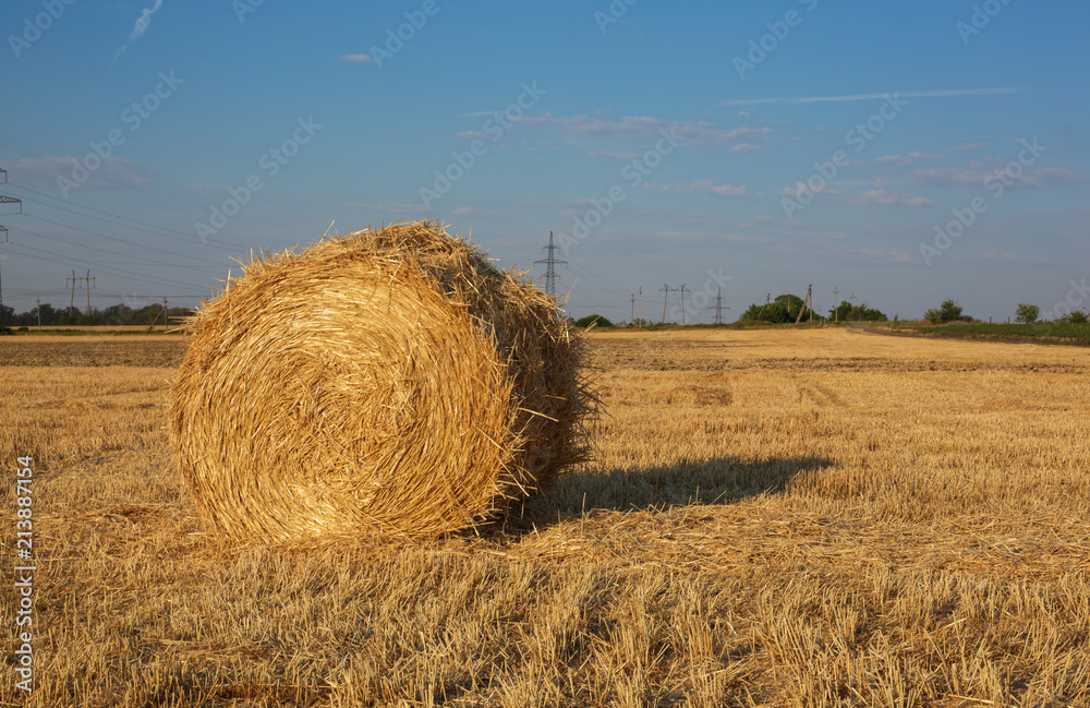 Rural Landscape. Roll of Haystack on the Field. Summer Farm Scenery with Haystack. Agriculture Concept, Harvest Concept Rural Landscape. Roll of Haystack on the Field. Summer Farm Scenery with Haystack. Agriculture Concept, Harvest Concept