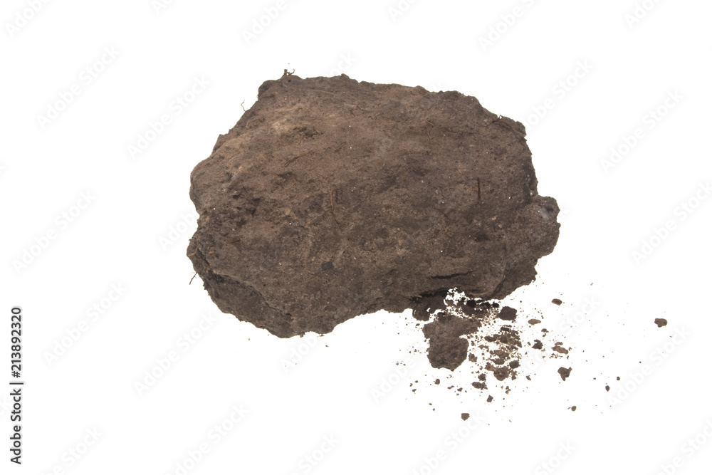 earth isolated on white background earth isolated on white background