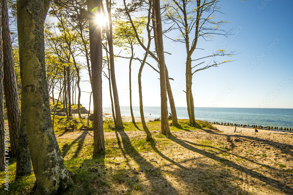 Fototapeta premium beach of the Baltic Sea in Orzechowo, Poland