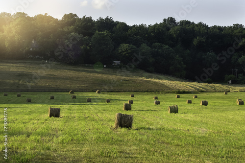 Photography hale bales in field
