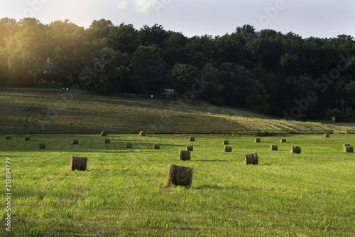 Photography hale bales in field