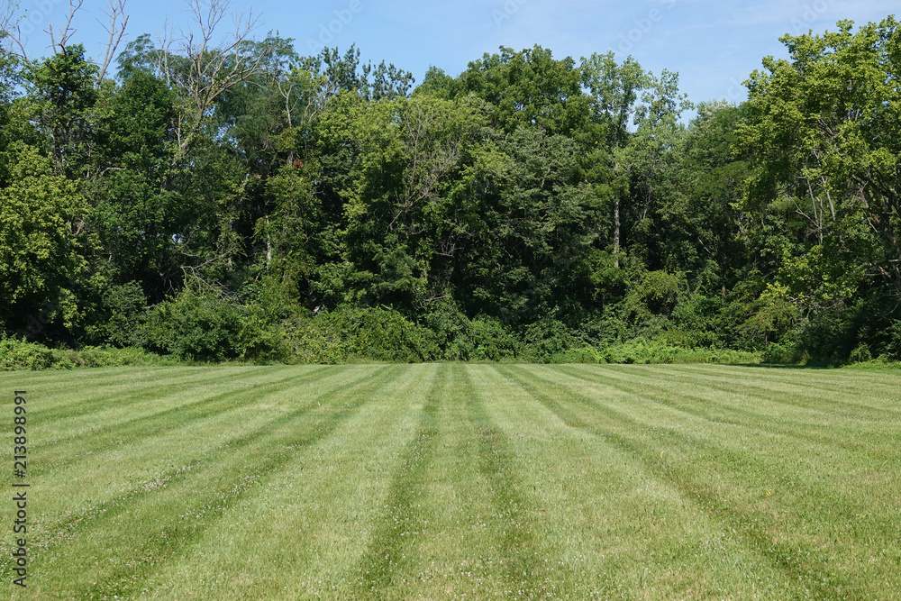 Lines of a mowed, green, grass field are shown, ending at a forest tree line.