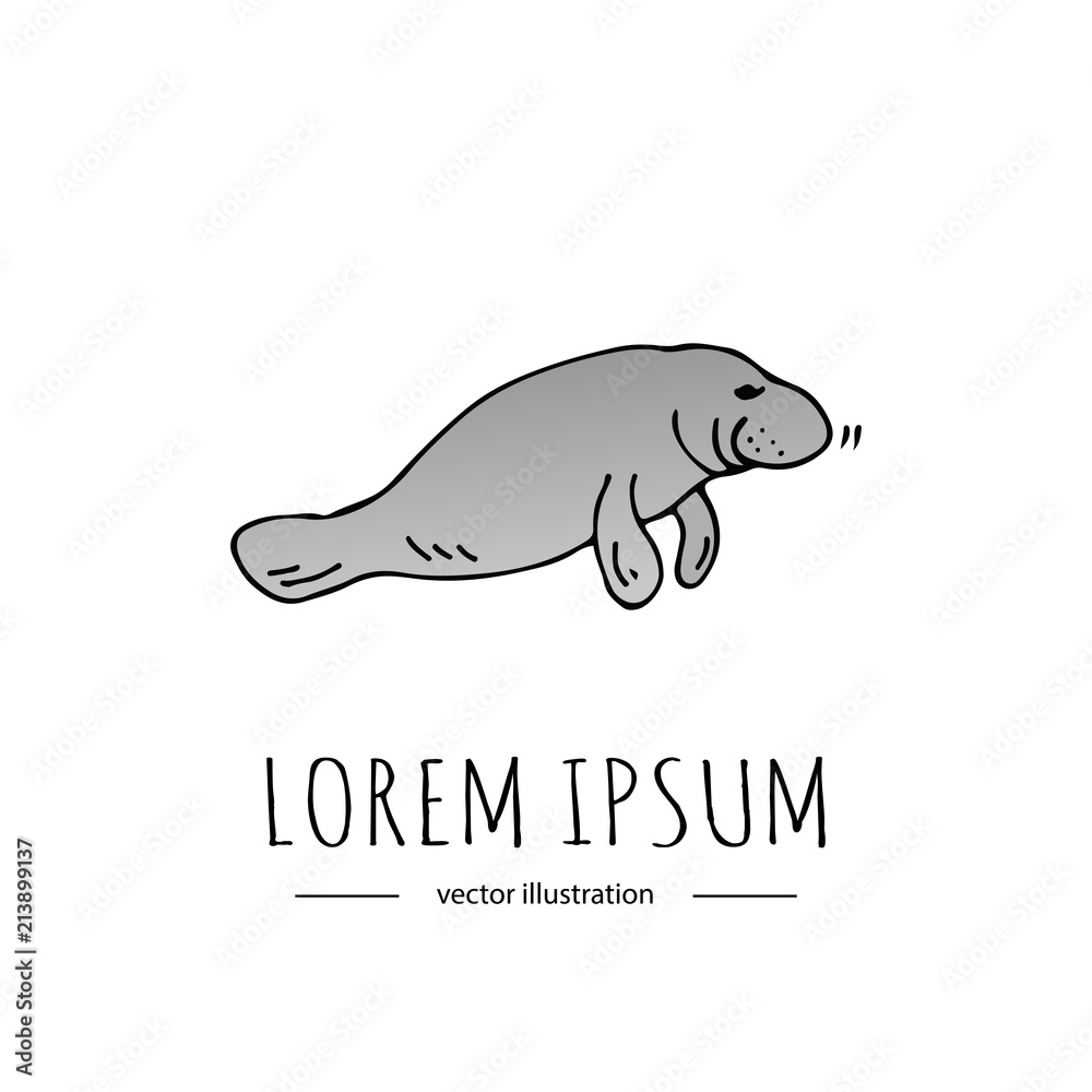 Hand drawn doodle Manatee icon isolated on white background. Vector illustration,Mammal related icon - Sea cow. Sketchy element. Cartoon aquatic underwater wild animal fin Tale 