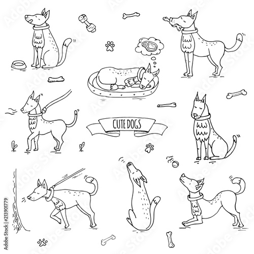 Hand drawn doodle set of cute dogs icons Vector illustration set. Cartoon normal everyday home pets activities symbols. Sketchy puppy collection: howl, play with ball, sleep, walk, eat, ask for food