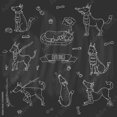 Hand drawn doodle set of cute dogs icons Vector illustration set. Cartoon normal everyday home pets activities symbols. Sketchy puppy collection: howl, play with ball, sleep, walk, eat, ask for food