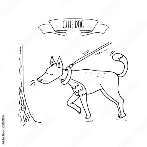 Hand drawn doodle image of cute dog on a leash sniffing tree icon Vector illustration set. Cartoon normal everyday home pets activities symbol. Sketchy curious puppy walk