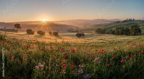 Amazing and typical Tuscan landscape scene. Beautiful warm spring sunrise. Tree alley along the path. Romantic scene. Clouds in the sky, sun rays.