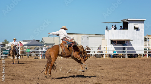 Fotografía Bucking Bronc Horse At Country Rodeo