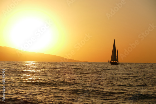 sailing regatta at sunset