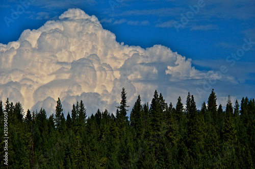 Canvas-taulu Massive Thunderhead billowing up through troposphere