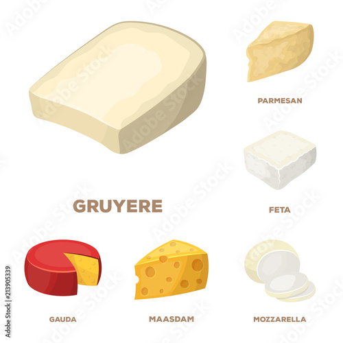 Different kind of cheese cartoon icons in set collection for design.Milk product cheese vector symbol stock web illustration.