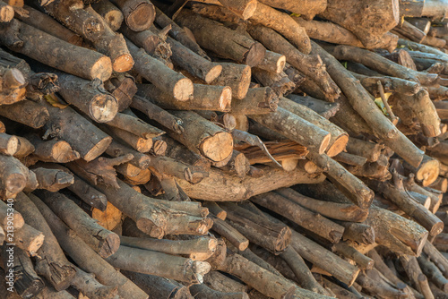 Firewood stacked up in a pile for kindle © CasanoWa Stutio