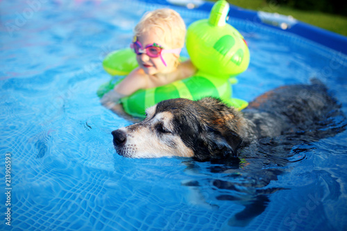 Old Loyal Pet Dog Swimming in Backyard Pool with Baby Girl in Floatie