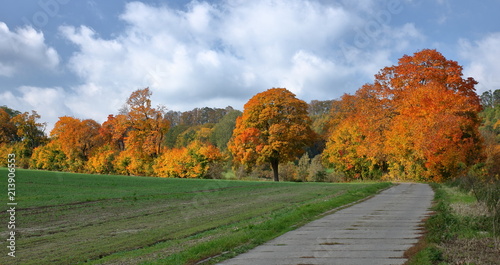 jesienny krajobraz, wąska droga przez pola, drzewa okryte różnokolorowymi liśćmi, błekitne niebo z malowniczymi chmurami