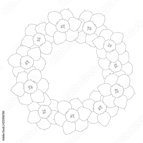Fototapeta Naklejka Na Ścianę i Meble -  Daffodil - Narcissus Flower Outline Wreath