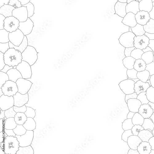 Fototapeta Naklejka Na Ścianę i Meble -  Daffodil - Narcissus Flower Outline Border