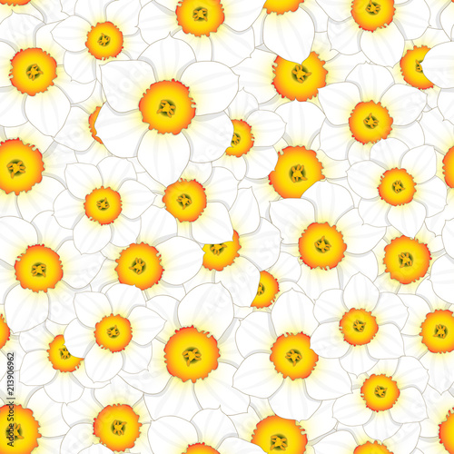 Fototapeta Naklejka Na Ścianę i Meble -  White Daffodil - Narcissus Seamless Background