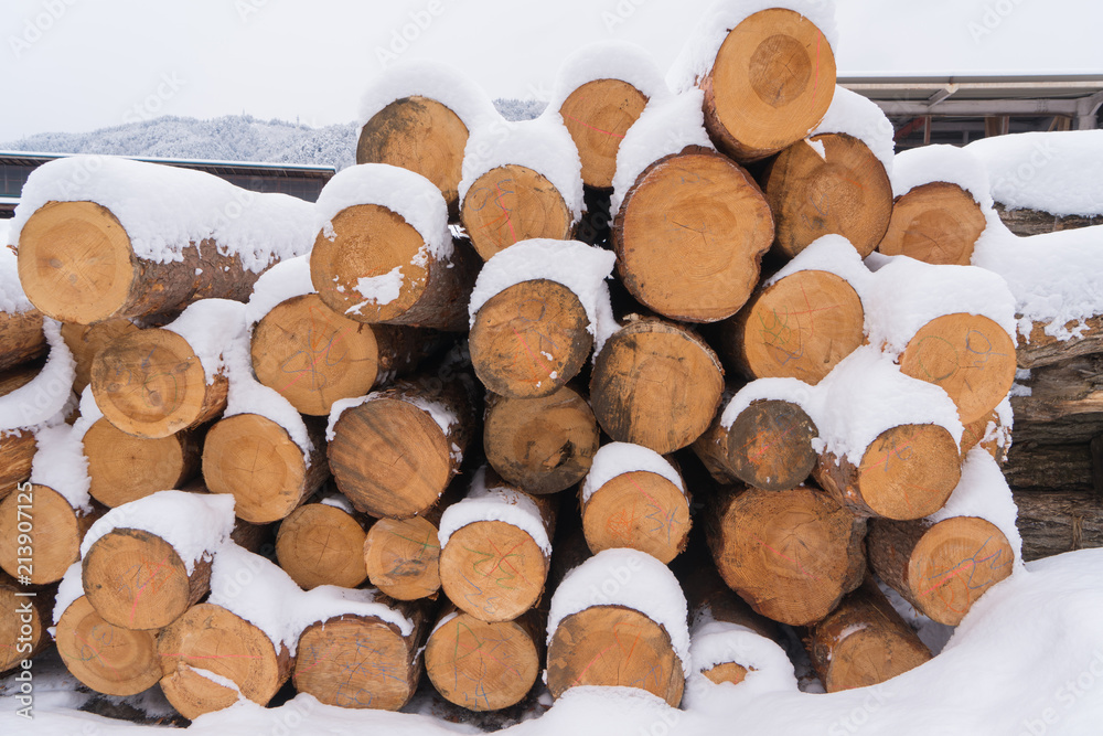 Fototapeta premium Firewood covered with snow stacked up in a pile for kindle