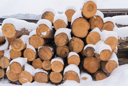 Firewood covered with snow stacked up in a pile for kindle