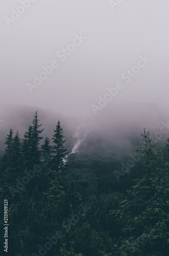 Mist over forest and waterfall. Ukrainian  Carpathians  Prut waterfall