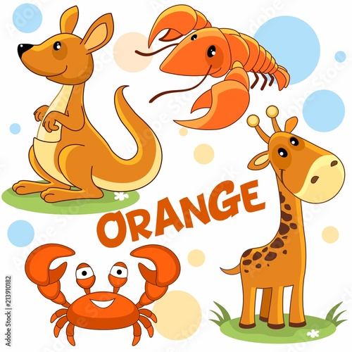 A set of colorful orange illustrations with animals and mollusks for children and design, a picture of a kangaroo, a cancer, a giraffe and a crab.