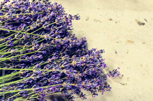 Lavender flowers close up