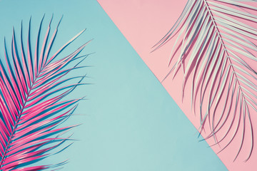 Tropical bright colorful background with exotic painted tropical palm leaves. Minimal fashion summer concept. Flat lay idea