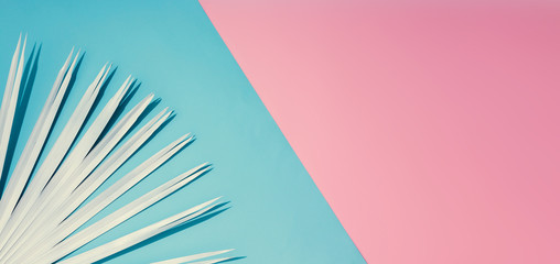 Tropical bright colorful background with exotic painted tropical palm leaves. Minimal fashion summer concept. Flat lay.