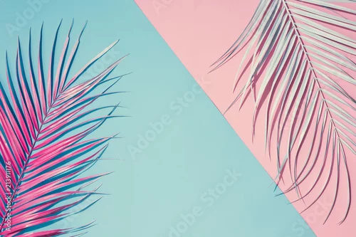 Obraz Tropikalne jasne kolorowe tło z egzotycznie malowane tropikalne liście palmowe. Minimalna koncepcja lato moda. Leżał płasko.