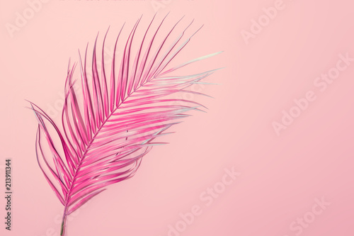 Tropical bright pink background with exotic painted tropical palm leaf. Minimal fashion summer concept. Flat lay. © Zamurovic Brothers