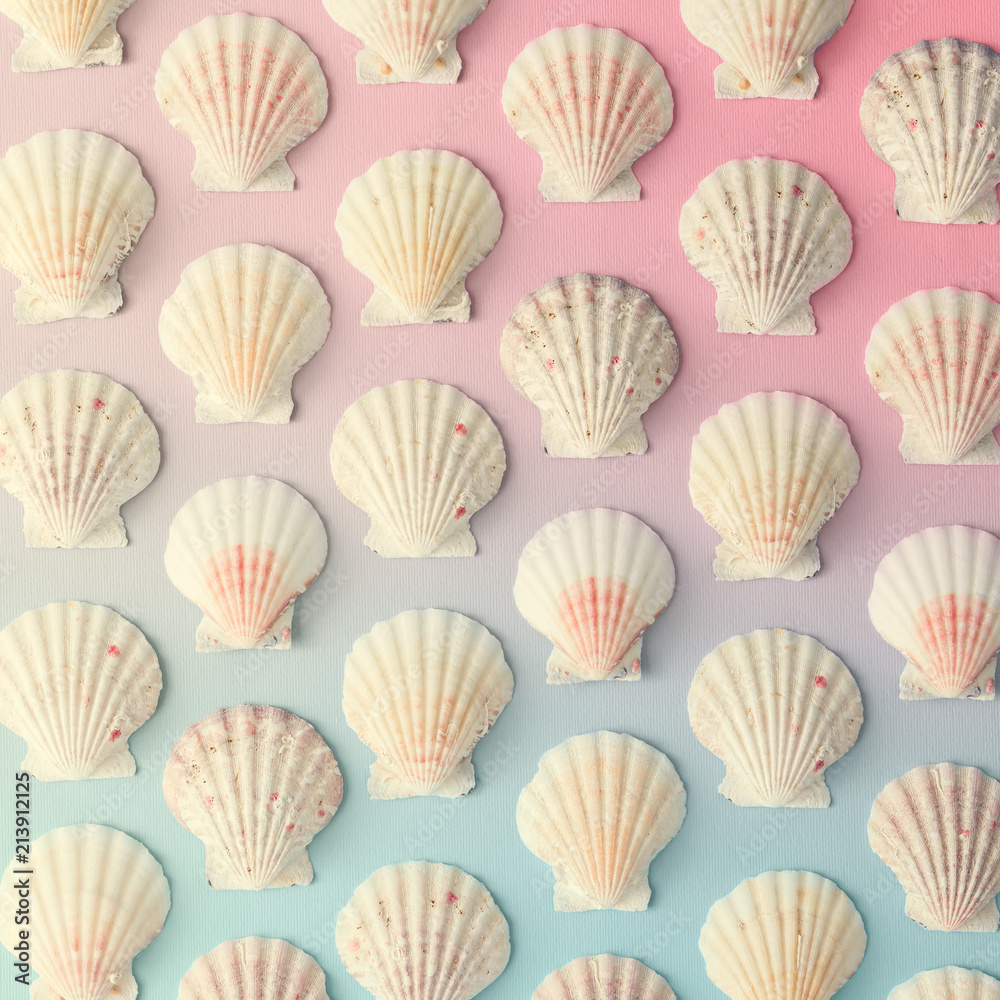 Creative seashell pattern on gradient pastel pink and blue background. Summer flat lay. Creative seashell pattern on gradient pastel pink and blue background. Summer flat lay.