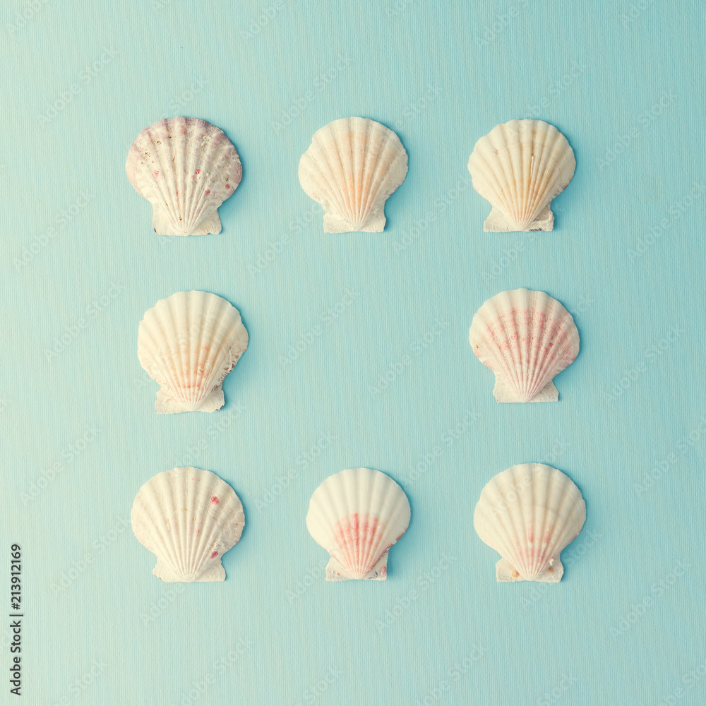 Creative seashell pattern on pastel blue background with copy space. Summer flat lay. Creative seashell pattern on pastel blue background with copy space. Summer flat lay.