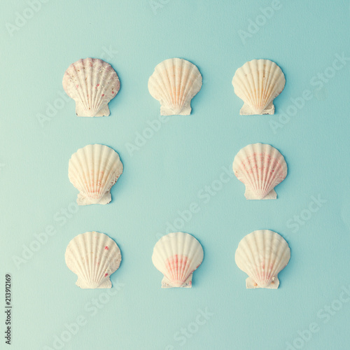Creative seashell pattern on pastel blue background with copy space. Summer flat lay.