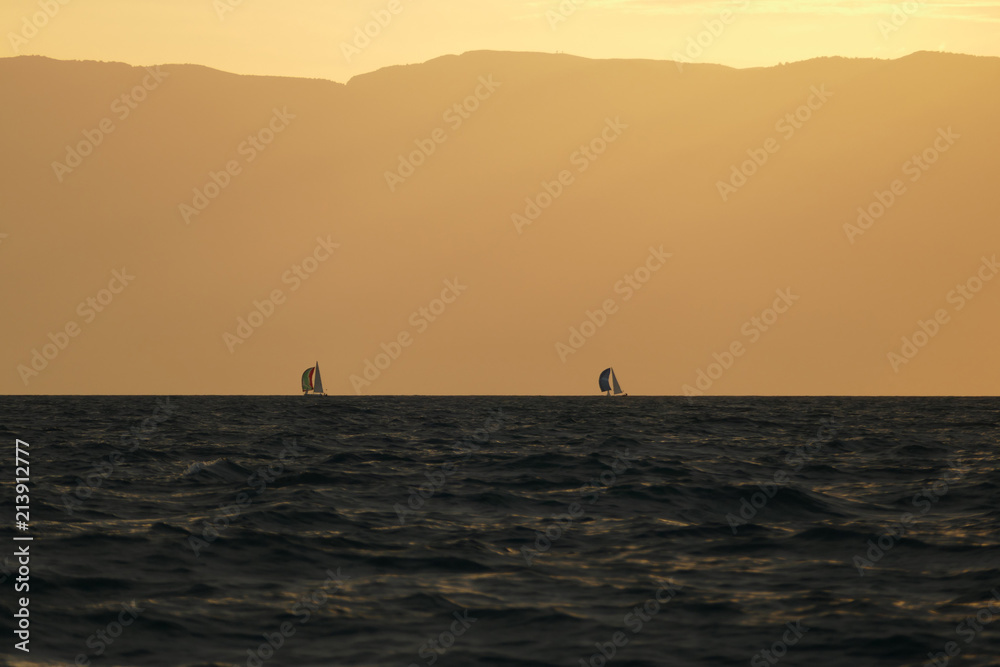 sailing regatta at sunset