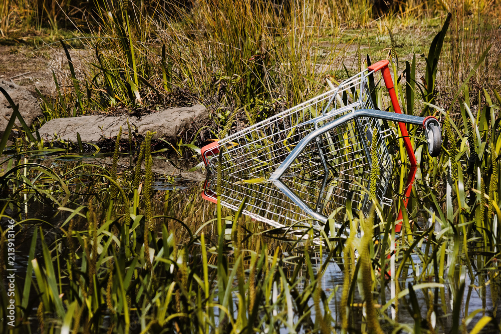 Discarded supermarket shopping trolley local wetlands