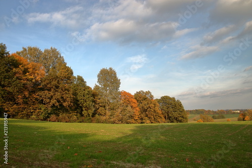 Krajobraz jesienny z resztką zielonej trawy na łące, drzewami z kolorowymi liśćmi i sunącymi po niebie malowniczymi chmurami - długie naświetlanie