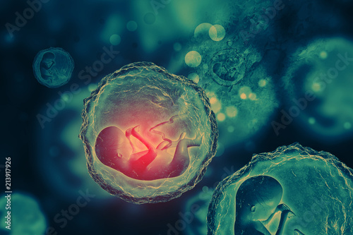 Quadro su tela Human fetus on scientific background