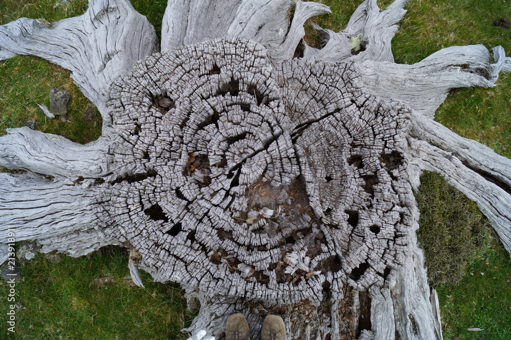 Akaroa, New Zealand